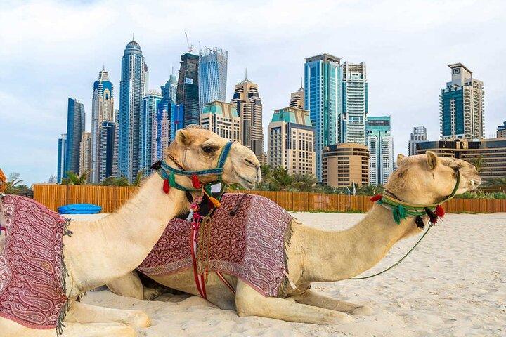 Tour guidato esclusivo della città di Dubai (mezza giornata)