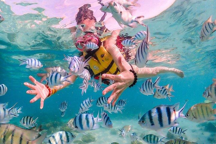 Experience Pattaya Tour with Water Activities