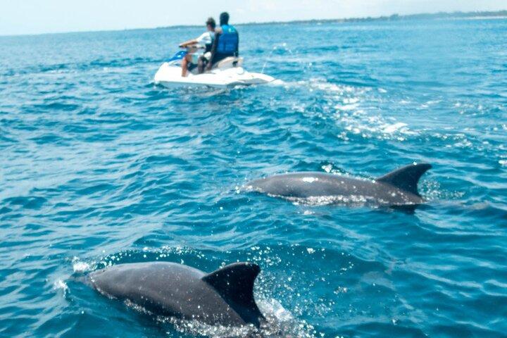 Jetski delfinsafari ved Galu Beach