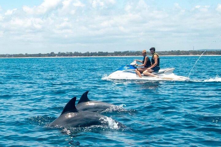 Jetski delfinsafari ved Galu Beach