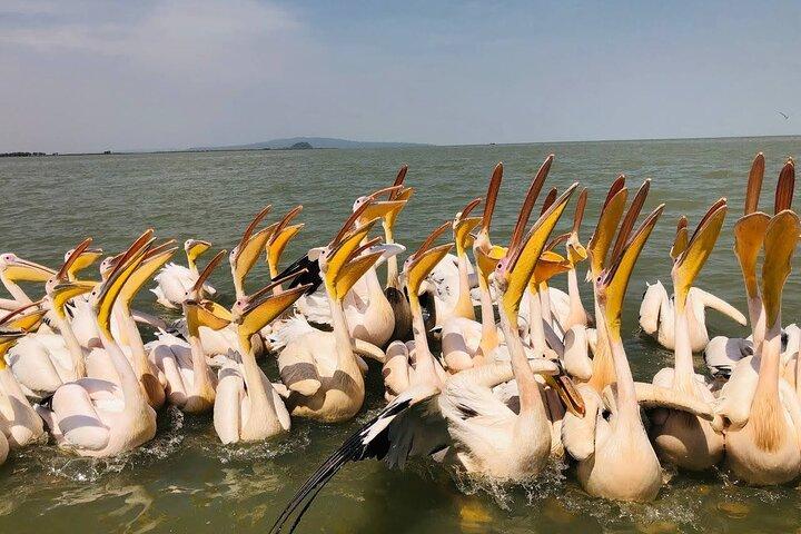 Day Trip Bahir Dar, Lake Tana and Blue Nile Falls Tours