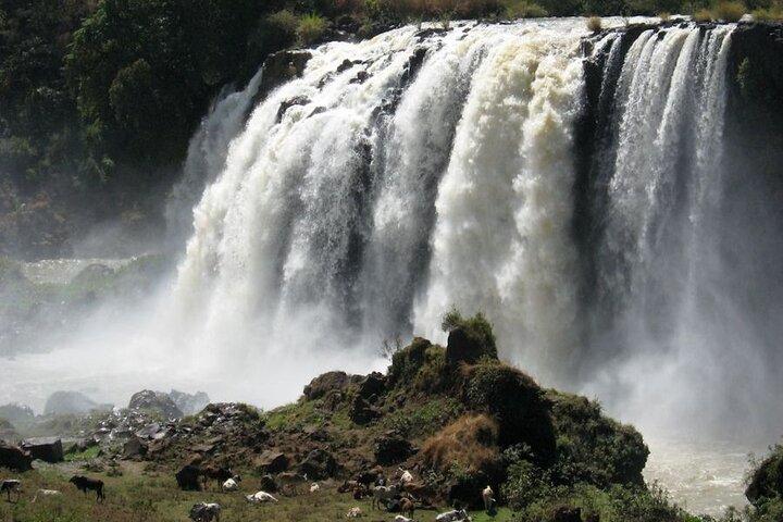 Day Trip Bahir Dar, Lake Tana and Blue Nile Falls Tours