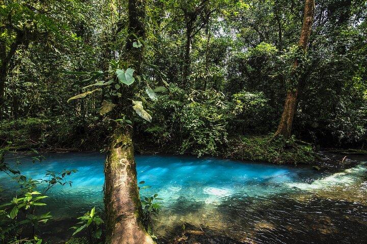 Tour a Río Celeste desde San José con Almuerzo y Baño en el Río