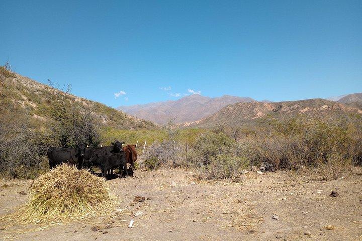 Journée complète au pied des Andes
