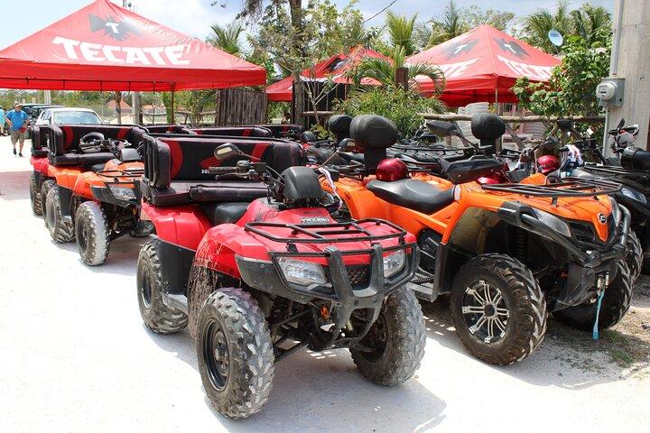 Visite privée en buggy et VTT au cénote Jade Cavern: tout compris