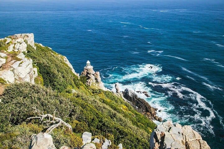Cape Peninsula Tour