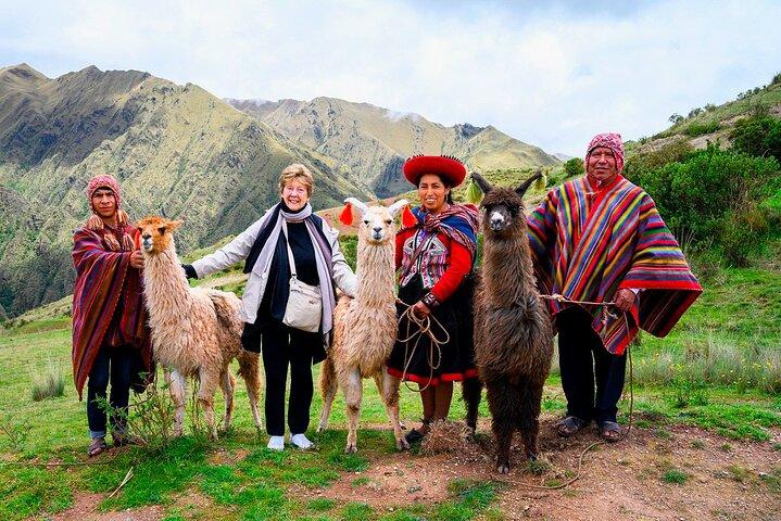 La migliore esperienza della giornata nella Valle Sacra e cuccioli di alpaca - Tour privato