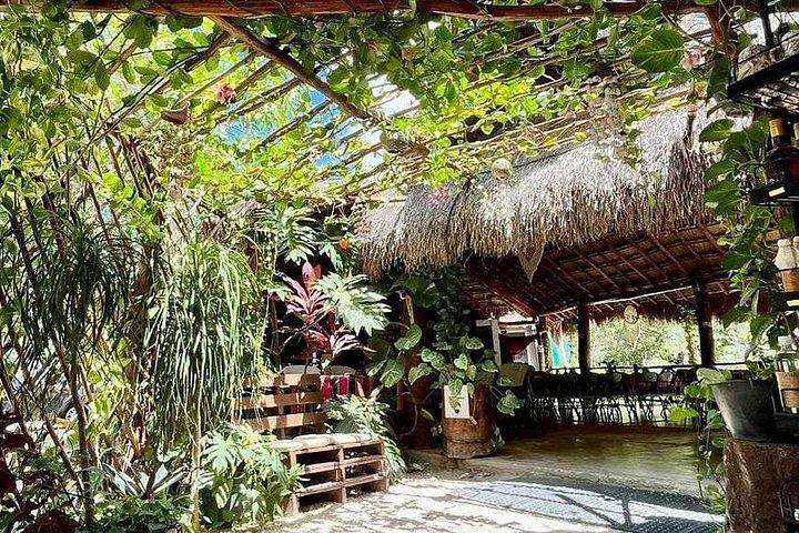 Jaguar Park Tour with Tulum Archaeological Zone