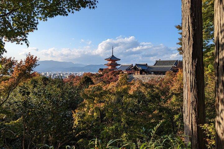 Tur i Kyoto med en statscertificeret rejseguide