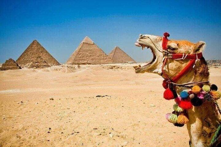 Giza-pyramiderne+Sphinx+Det Egyptiske Museum