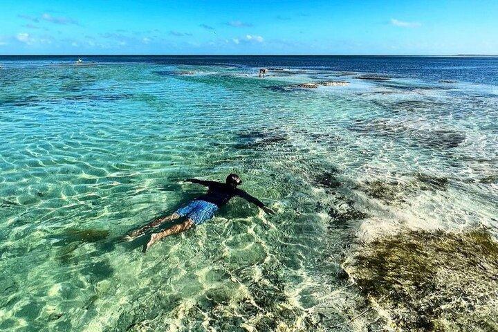 マイアミ発フロリダ キー プライベート アイランズ限定日帰り旅行 (アクティビティ付き)