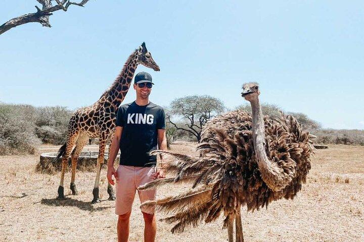 Naturvandring med giraffer i Mombasa