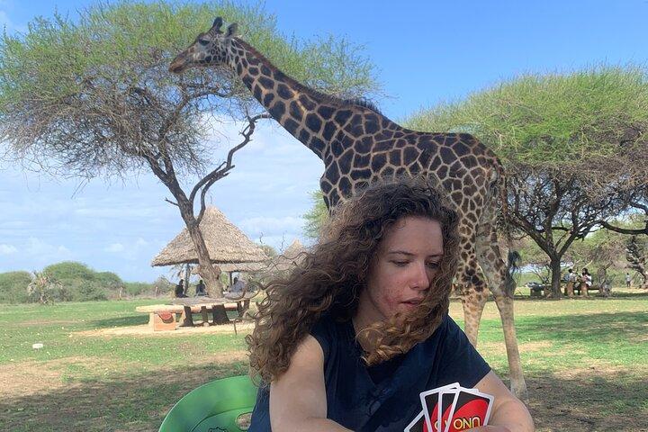 Naturvandring med giraffer i Mombasa