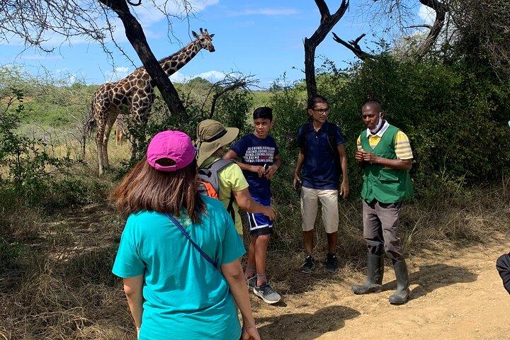 Naturvandring med giraffer i Mombasa
