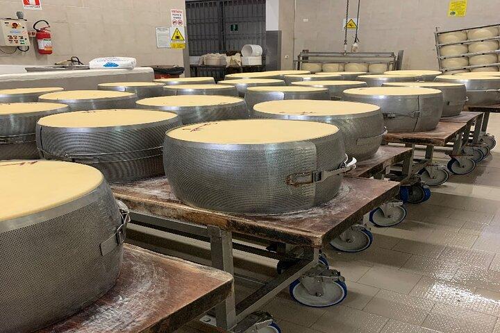 Concediti Slow Food e Ferrari nel tour di un'intera giornata da Bologna