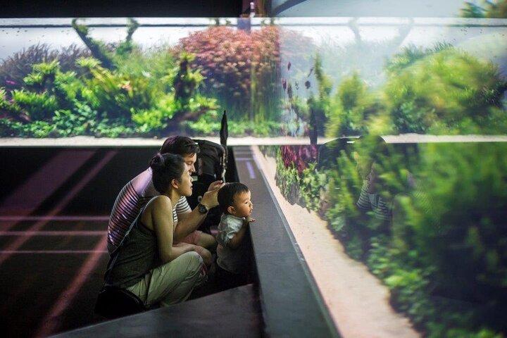 Lissabon Oceanario: Adgangsbillet til akvariet