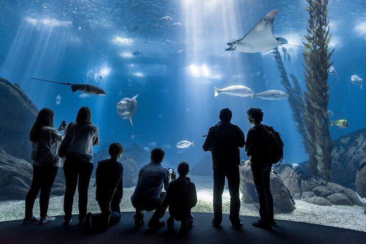 Lissabon Oceanario: Adgangsbillet til akvariet