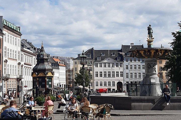 Excursão privada a pé por áudio autoguiada de meio dia em Copenhague