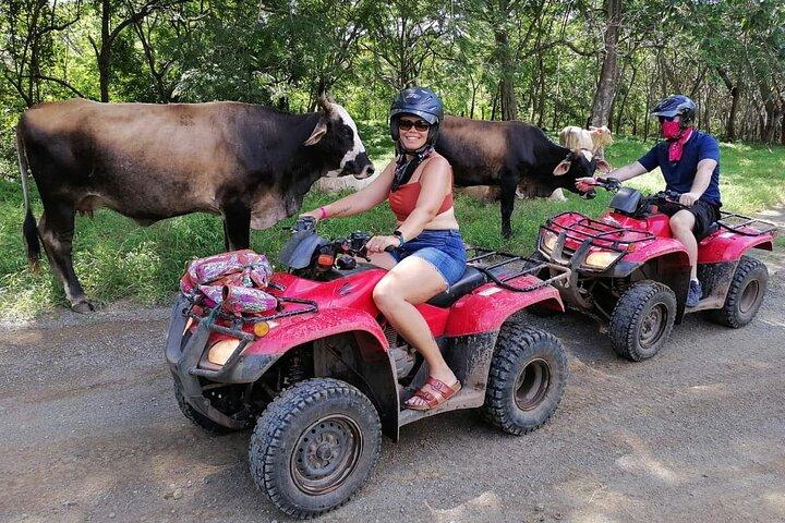 ATV Tamarindo à Puerto Viejo