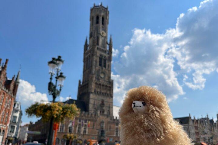 Private Ganztagestour Brügge & Gent ab Brüssel mit Verkostungen