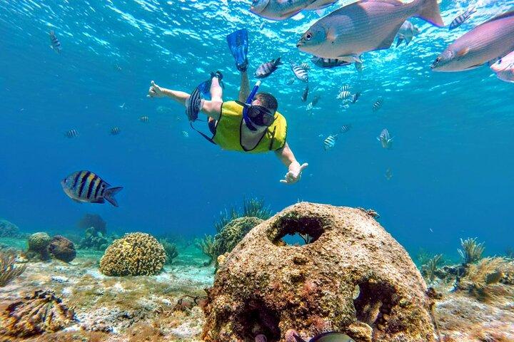 透明なボートでコスメル島へ行き、ランチ付きの空でシュノーケリング。