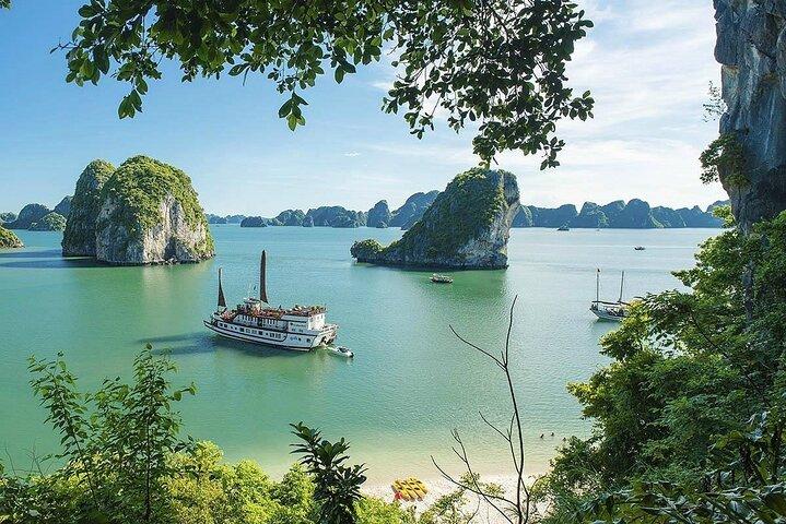 Ontdek Bai Tu Long Bay tijdens een nachtelijke cruise