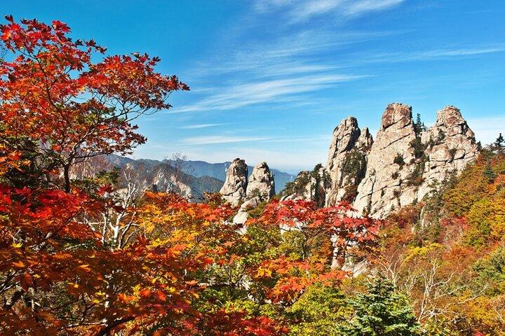 Seoraksan mit Nami Island oder Sinheungsa Tempel Tour von Seoul