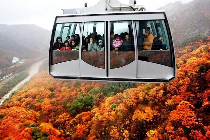 Seoraksan mit Nami Island oder Sinheungsa Tempel Tour von Seoul