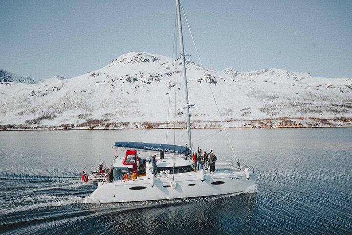 Arctic Catamaran Fjordcruise in Tromso on the Arctic Eagle