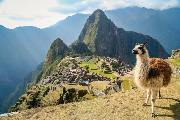 Cusco: Machu Picchu Full Day - Biglietti & Treno