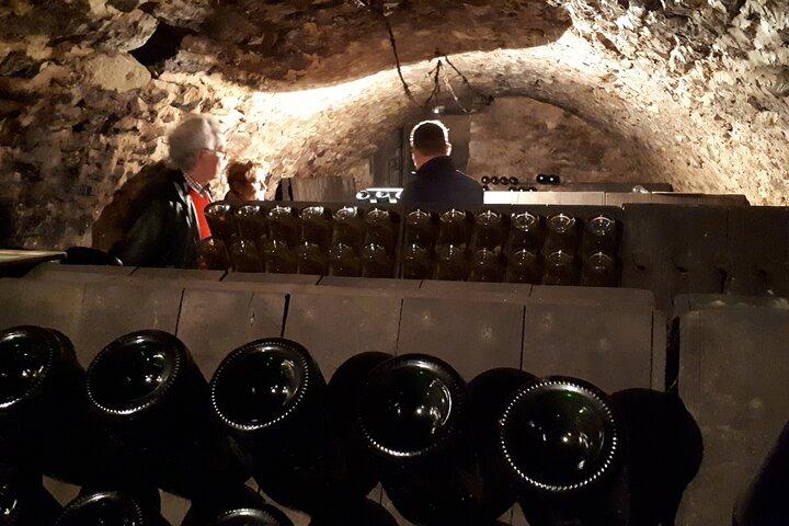 Visite de cave et balade dégustation dans les vignes