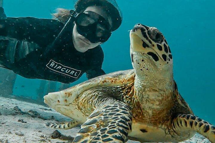 Tour privado a las islas Similan