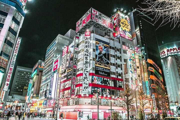 Tokyo Best Private Food Tour With A Guide