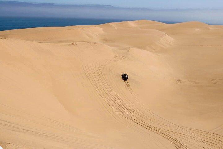 Tour in 4x4 di Sandwich Harbour