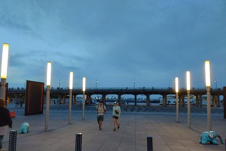Yokohama Private Tour -Night View-