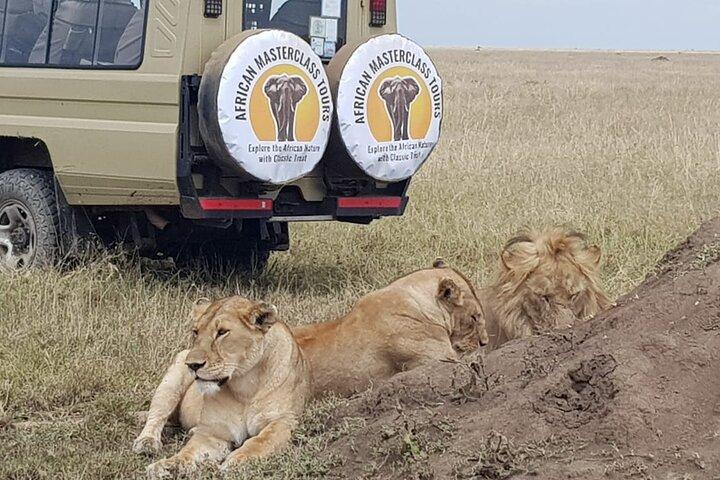 5-dages Serengeti og Ngorongoro Budget Camping Safari Tour