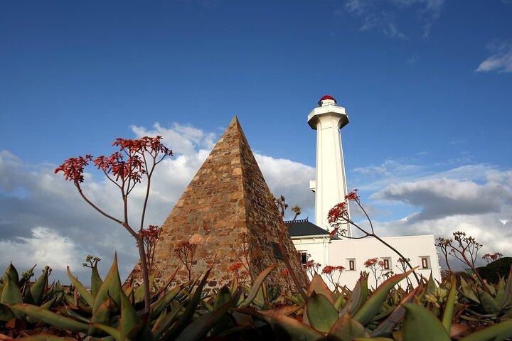 Safari a Port Elizabeth e tour della città da Gqeberha