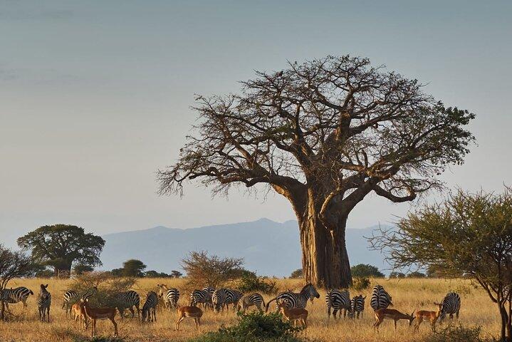 4-daagse privétour door Tarangire, Serengeti en Ngorongoro