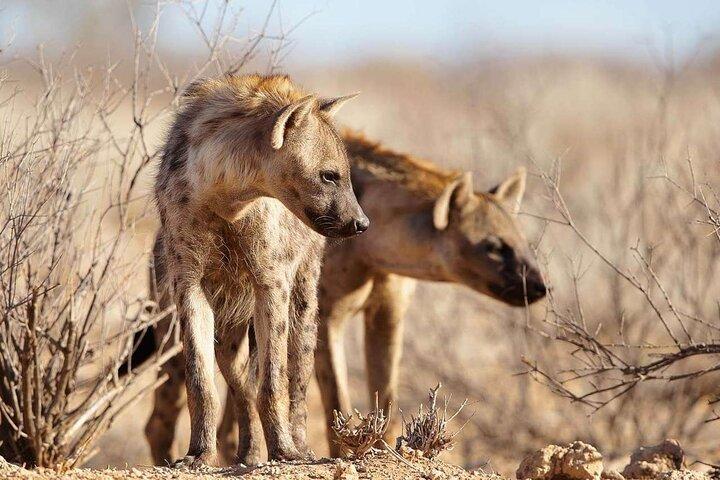 4-daagse privétour door Tarangire, Serengeti en Ngorongoro
