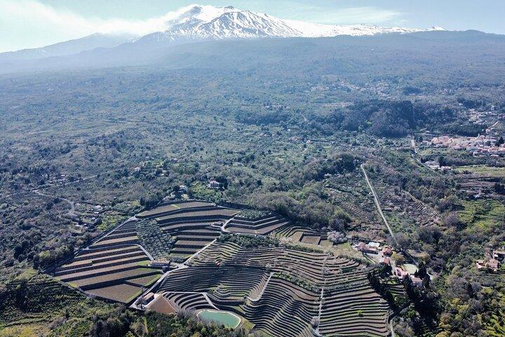エトナ山のパノラマプライベートツアーとワインの味と食事の組み合わせ