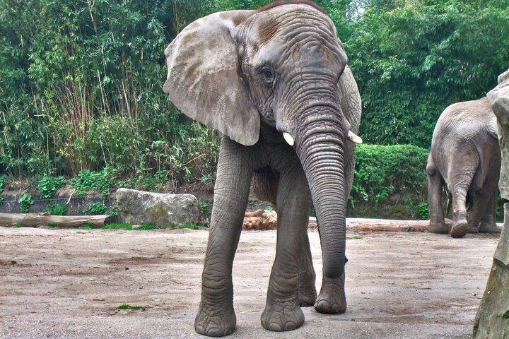 Tour de safari de 2 días