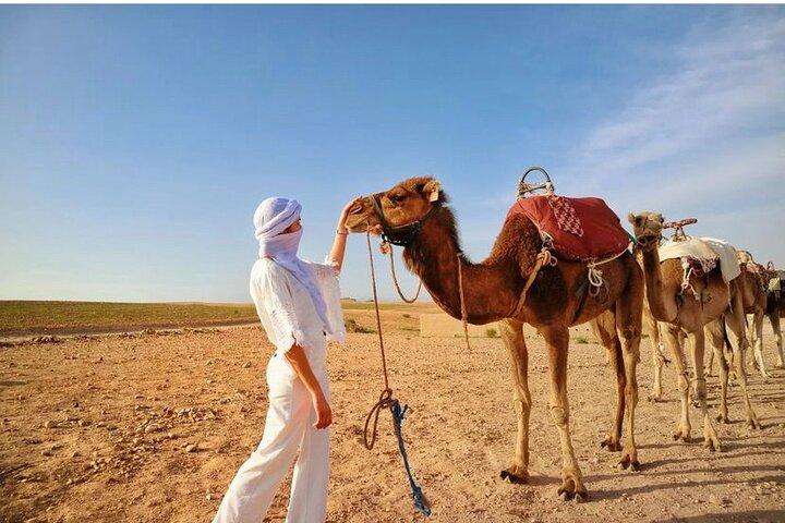 Sunset camel ride with dinner and show