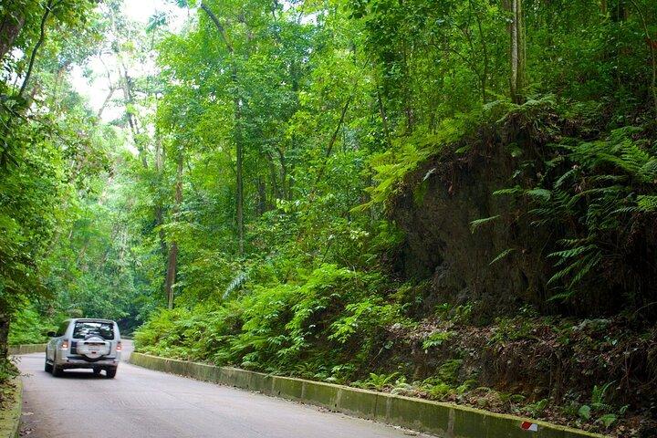 Visite d'Ocho Rios, visite d'une demi-journée à la plage (entrée incluse)