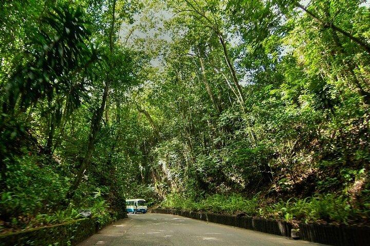 オーチョ リオス観光、ビーチ半日ツアー (入場料込み)