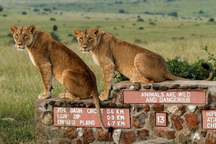 Nairobi National Park, Baby Elephant Orphanage and Giraffe Centre