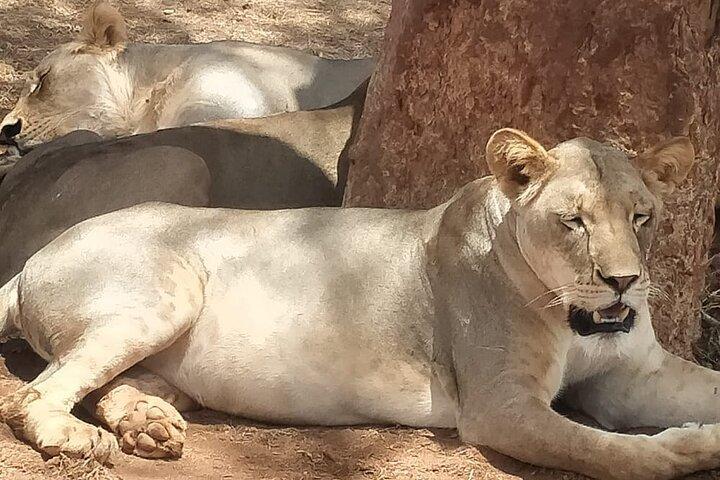 2 - Tag Tsavo East National Park Sentrim Camp.
