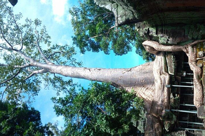 The Magnificent Angkor Wat