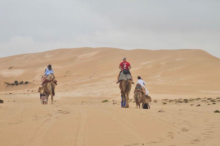 Aventura do Deserto de Agadir: Camel Ride, Quad Bike & Sandboarding
