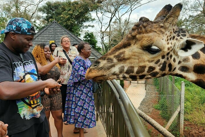 Karen Blixen Museum, Beads craft and Giraffe Day tour