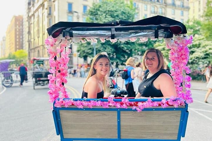 NYC Central Park guided Pedicab Tour - 1 hour